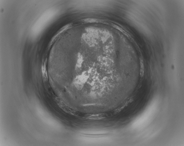 X0000076081198200610152245