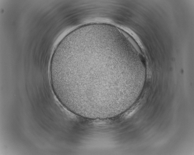 X0000076081199200610152245