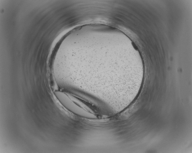 X0000076081200200610152245