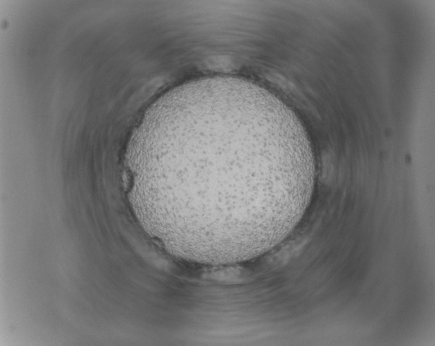 X0000076081201200610152244