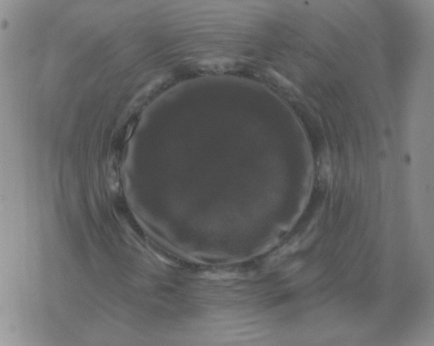 X0000076081202200610152244