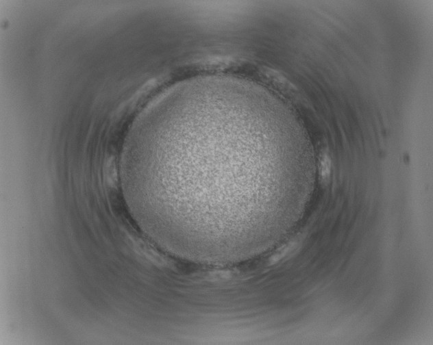 X0000076081204200610152244