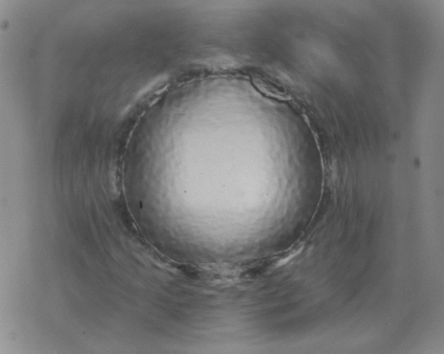 X0000076081205200610152244