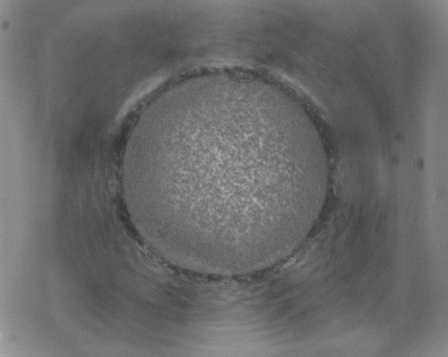 X0000076081207200610152244