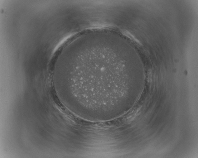 X0000076081208200610152244