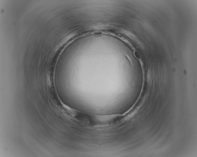 X0000076081209200610152244