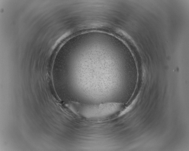 X0000076081210200610152244