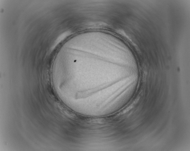 X0000076081211200610152244