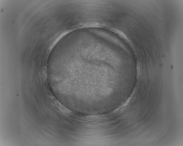 X0000076081212200610152244