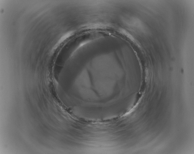 X0000076081213200610152244