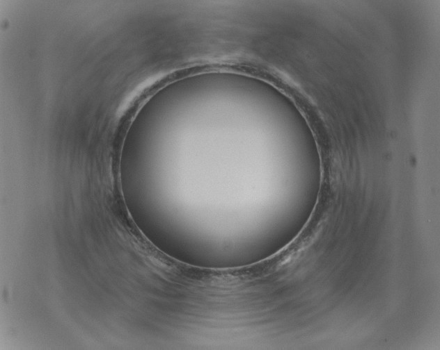 X0000076081214200610152244