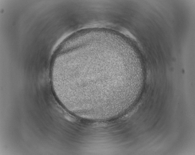 X0000076081216200610152244