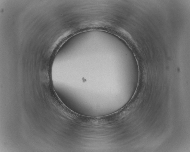 X0000076081218200610152244