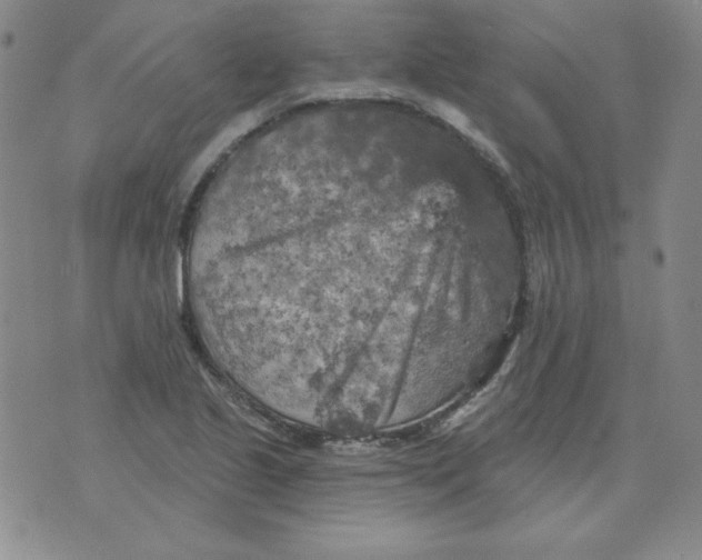 X0000076081221200610152244