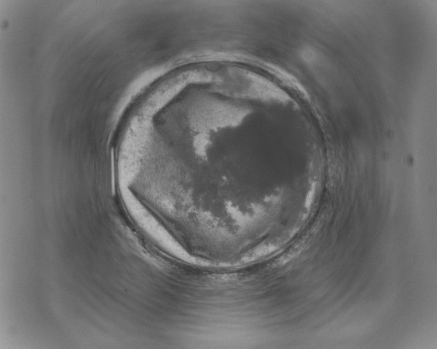 X0000076081223200610152244