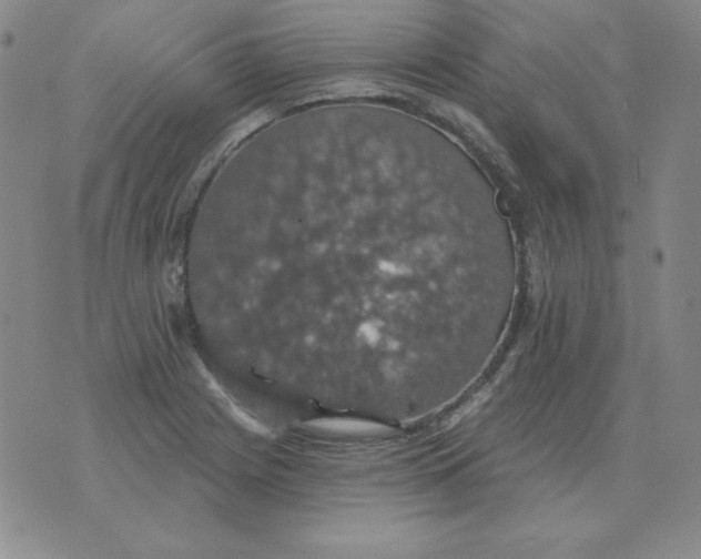 X0000076081225200610152244