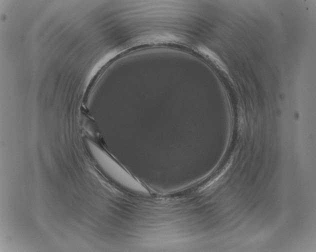 X0000076081226200610152244