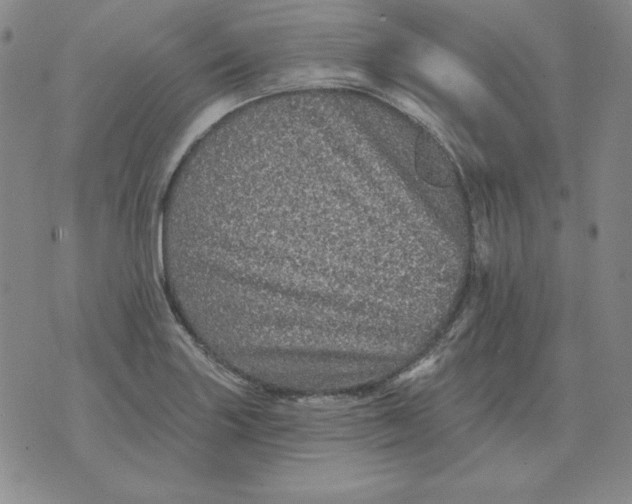 X0000076081227200610152244