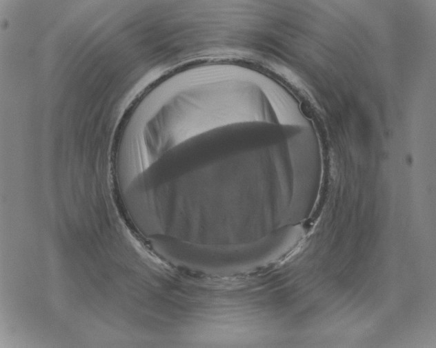 X0000076081229200610152244