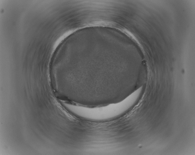 X0000076081230200610152244