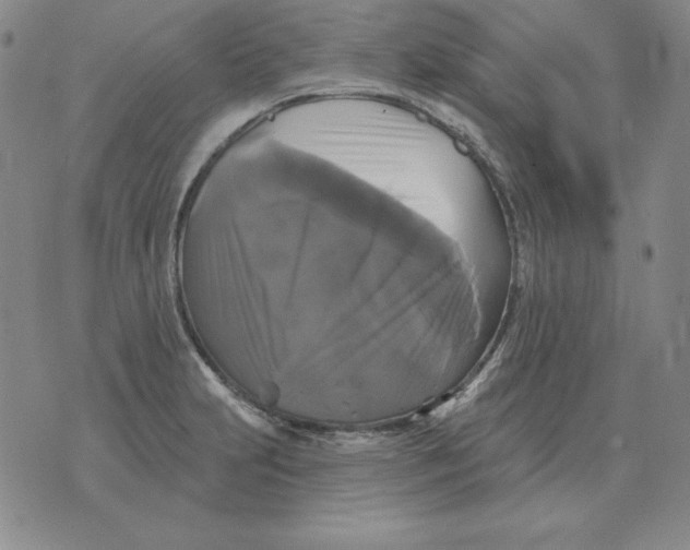 X0000076081231200610152244