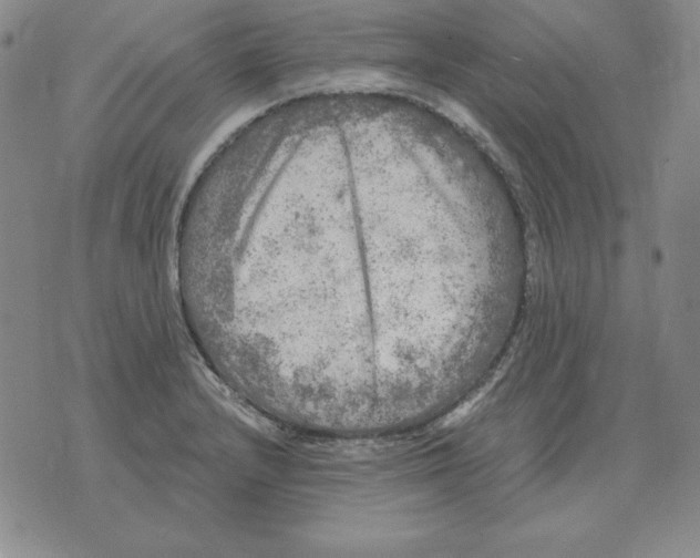 X0000076081232200610152244