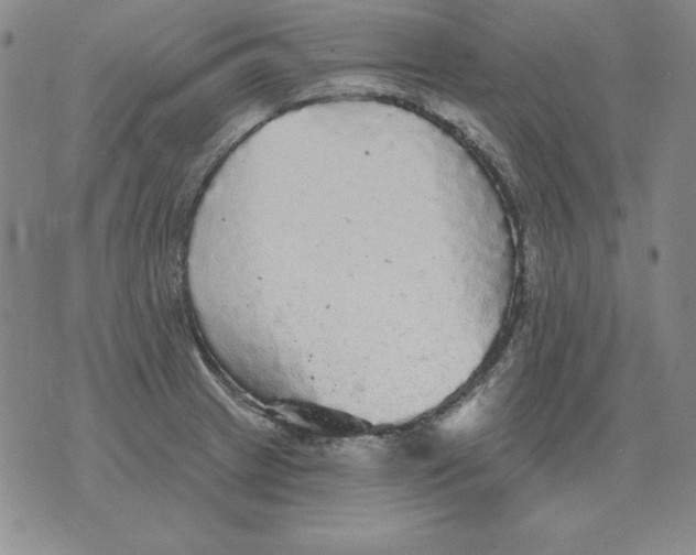 X0000076081233200610152244