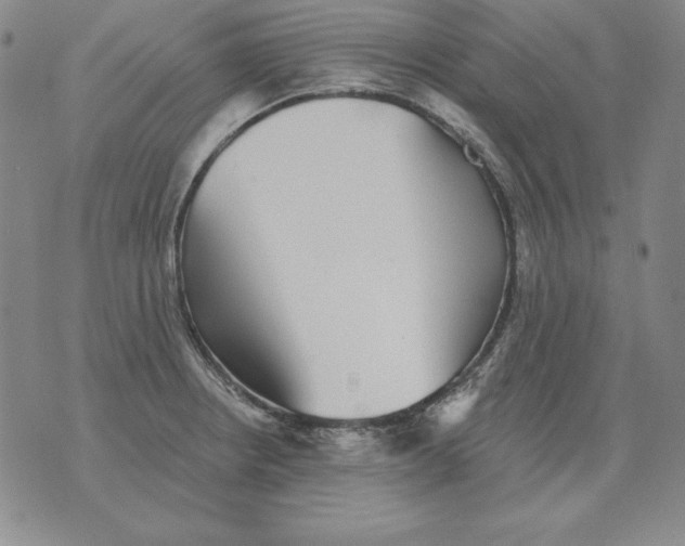 X0000076081234200610152244