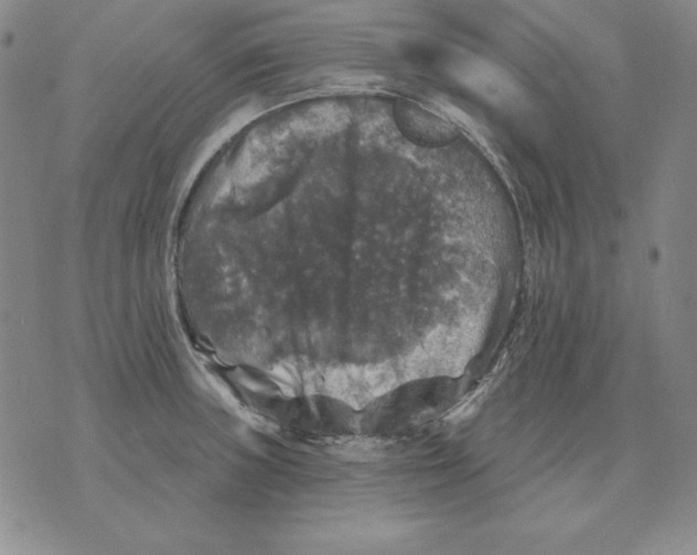 X0000076081235200610152244