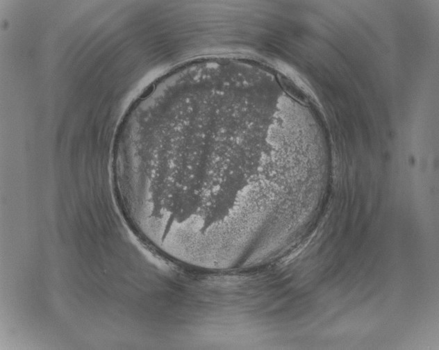 X0000076081237200610152244