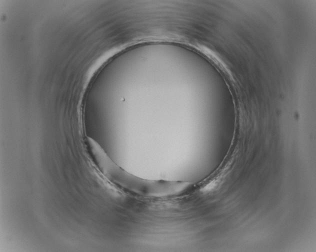 X0000076081238200610152245