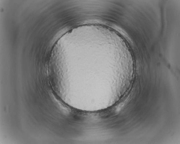 X0000076081241200610152245