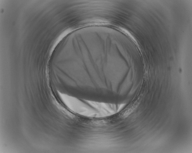 X0000076081243200610152245