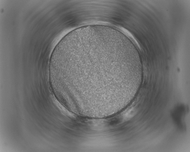 X0000076081244200610152245