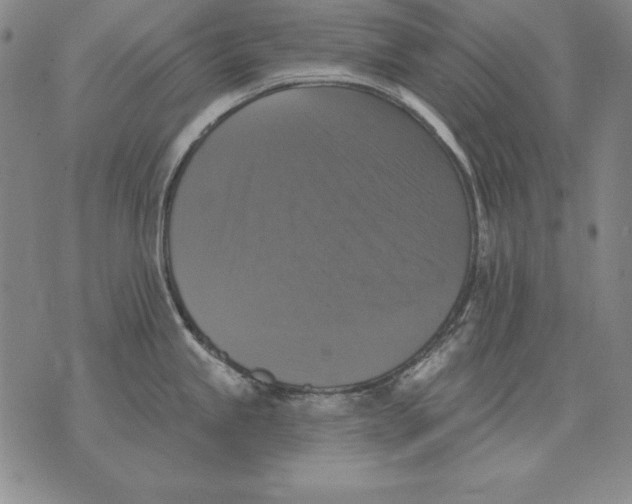 X0000076081245200610152245