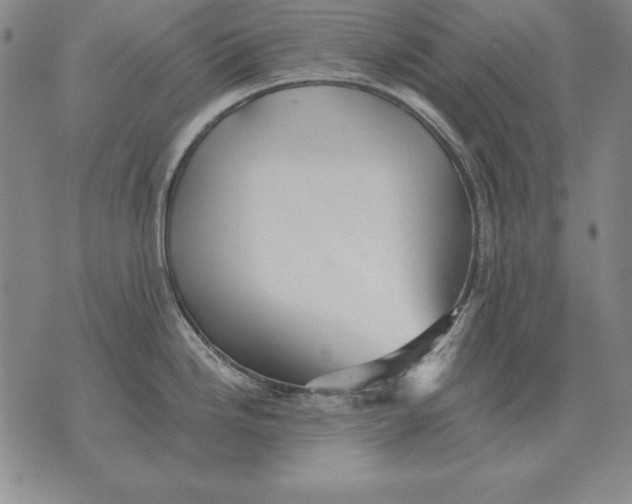 X0000076081246200610152245