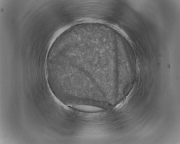 X0000076081247200610152245