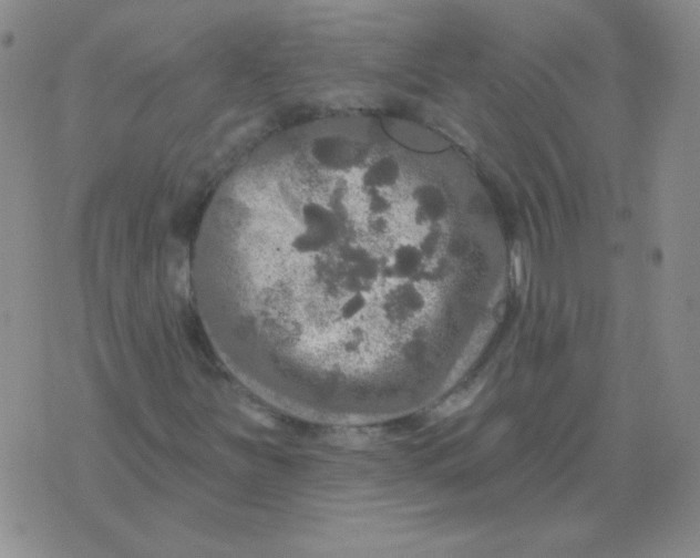 X0000076081251200610152244