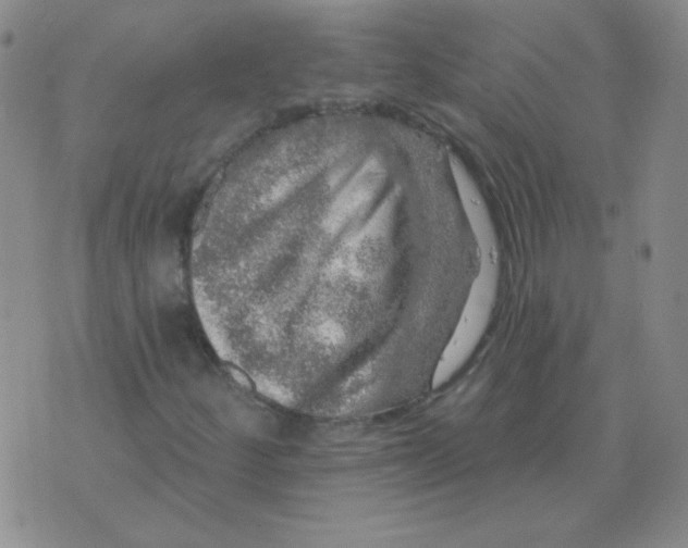 X0000076081252200610152244