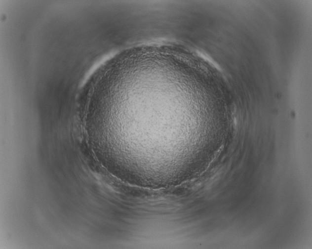 X0000076081256200610152244