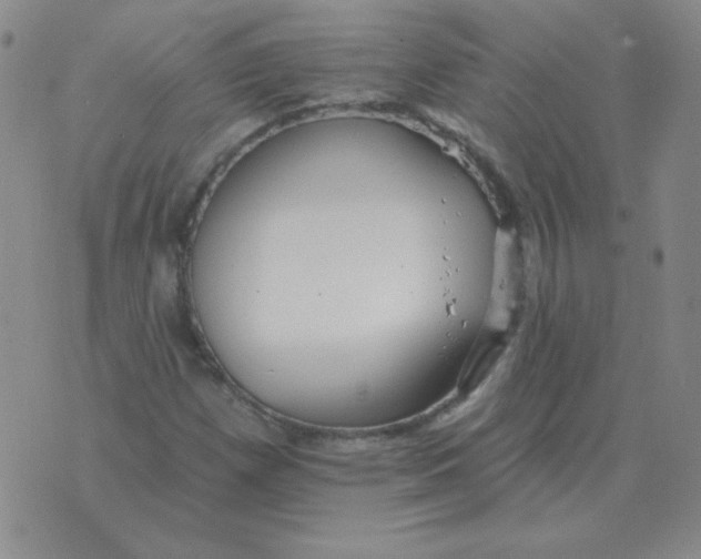 X0000076081257200610152244