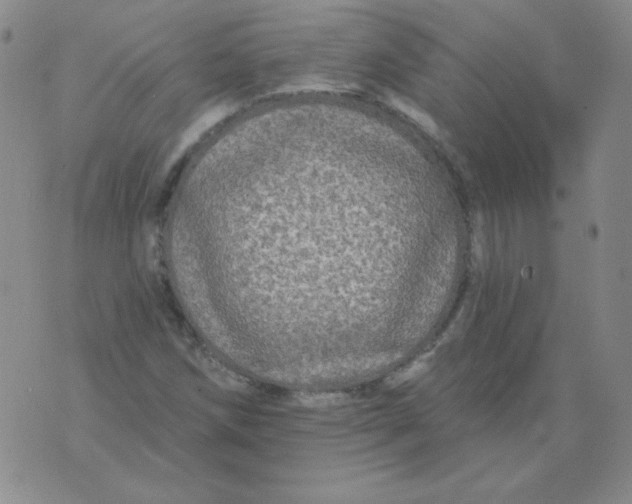 X0000076081258200610152244