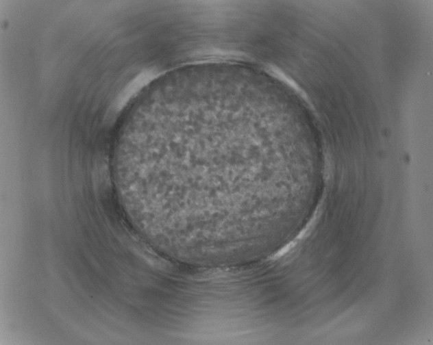 X0000076081259200610152244