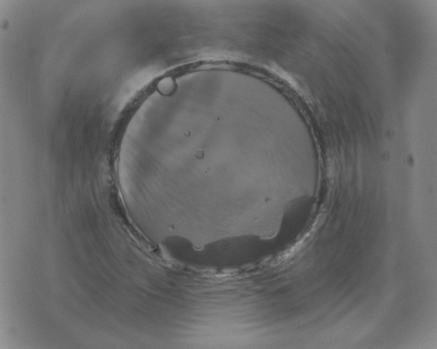 X0000076081263200610152244