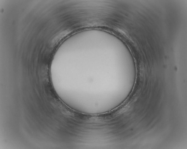 X0000076081265200610152244