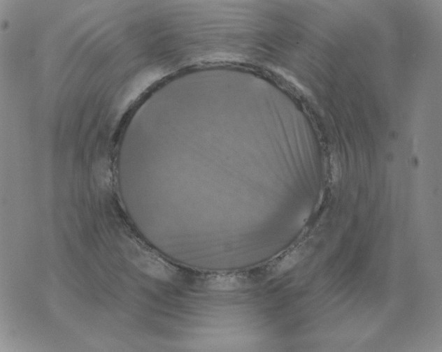 X0000076081266200610152244