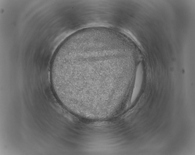 X0000076081268200610152244