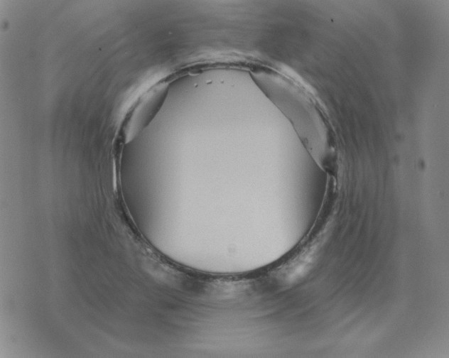 X0000076081269200610152244