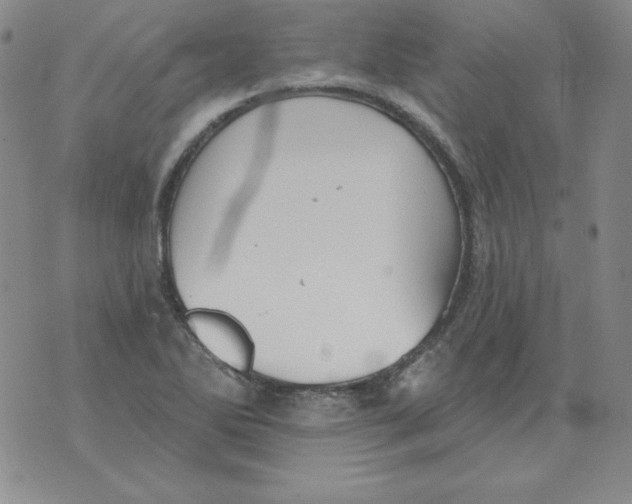 X0000076081270200610152244