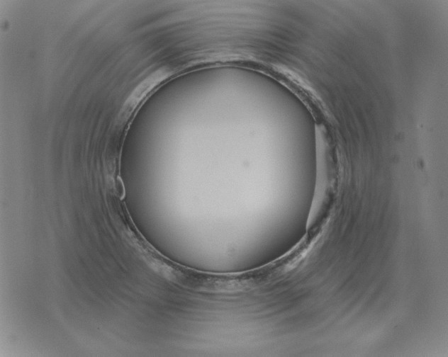 X0000076081273200610152244